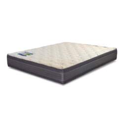 Rest Assured MQ10 Mattress